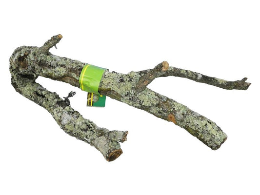 TRONCHOS CORK BRANCH 40-60CM