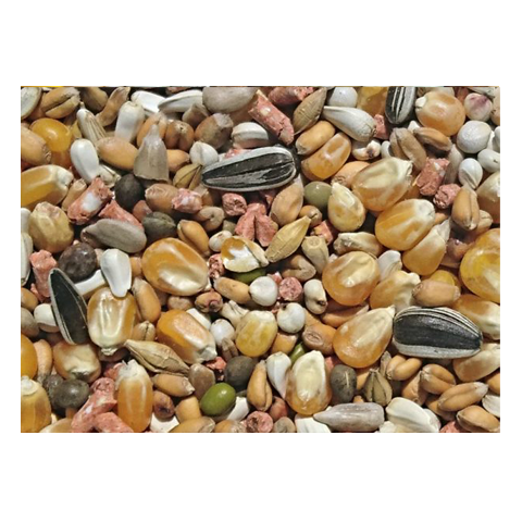 Bamfords Top Flight Popcorn Young Bird 20kg