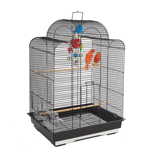 RC San Luis Cage Black
