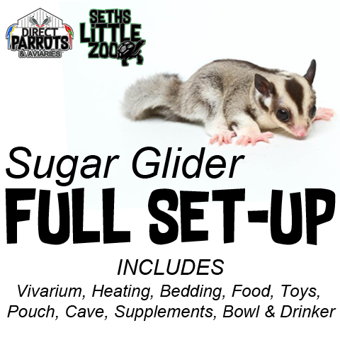 Sugar sales glider set