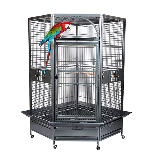 RC Toronto Cage