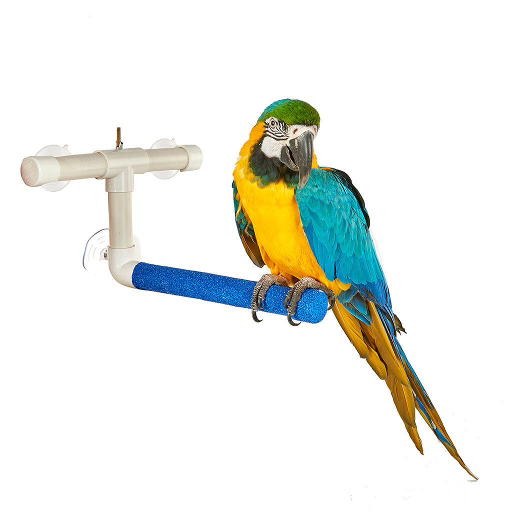 Window & Shower Perch - Large